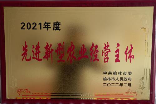 2021年度先進(jìn)新型農(nóng)業(yè)經(jīng)營(yíng)主體